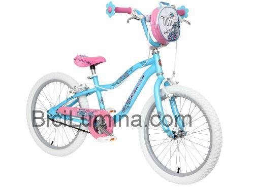 Schwinn Mist opinión y ficha técnica